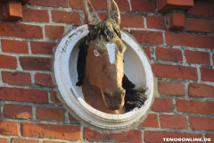 Pferd Schlachthof Schlachthausstraße 26506 Norden März 15.3.2019-2