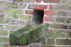 Schloss Lütetsburg 1.3.2019-5