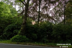 Schloss-Nordeck-Berum-Berumer-Allee-22.6.2023-54