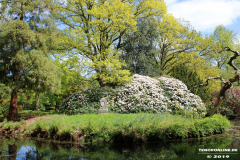 Schlosspark-Lütetsburg-11.5.2019-100