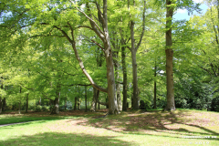 Schlosspark-Lütetsburg-11.5.2019-102