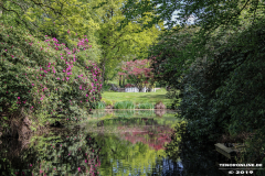 Schlosspark-Lütetsburg-11.5.2019-106