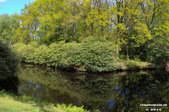 Schlosspark-Lütetsburg-11.5.2019-107