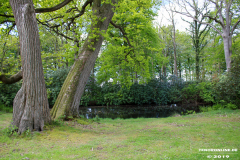 Schlosspark-Lütetsburg-11.5.2019-14