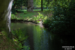 Schlosspark-Lütetsburg-11.5.2019-18