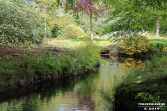 Schlosspark-Lütetsburg-11.5.2019-22
