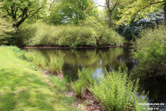 Schlosspark-Lütetsburg-11.5.2019-23