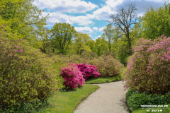 Schlosspark-Lütetsburg-11.5.2019-30