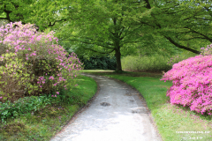 Schlosspark-Lütetsburg-11.5.2019-32