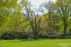 Schlosspark-Lütetsburg-11.5.2019-33