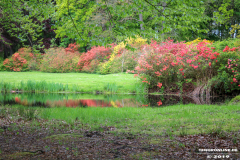 Schlosspark-Lütetsburg-11.5.2019-34