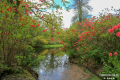 Schlosspark-Lütetsburg-11.5.2019-36