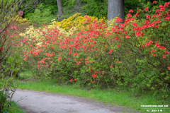 Schlosspark-Lütetsburg-11.5.2019-37