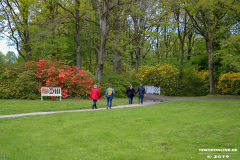 Schlosspark-Lütetsburg-11.5.2019-40