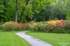 Schlosspark-Lütetsburg-11.5.2019-41