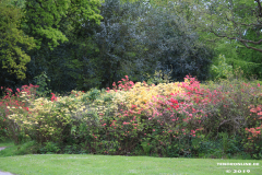 Schlosspark-Lütetsburg-11.5.2019-42