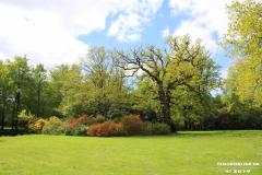Schlosspark-Lütetsburg-11.5.2019-44