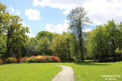 Schlosspark-Lütetsburg-11.5.2019-45