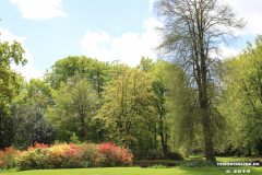 Schlosspark-Lütetsburg-11.5.2019-46