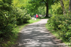 Schlosspark-Lütetsburg-11.5.2019-47