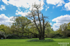 Schlosspark-Lütetsburg-11.5.2019-53