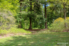 Schlosspark-Lütetsburg-11.5.2019-56