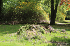 Schlosspark-Lütetsburg-11.5.2019-59