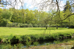 Schlosspark-Lütetsburg-11.5.2019-6