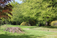Schlosspark-Lütetsburg-11.5.2019-60