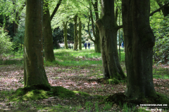 Schlosspark-Lütetsburg-11.5.2019-61