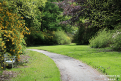 Schlosspark-Lütetsburg-11.5.2019-62