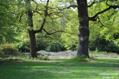 Schlosspark-Lütetsburg-11.5.2019-64