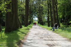 Schlosspark-Lütetsburg-11.5.2019-7
