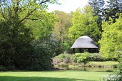 Schlosspark-Lütetsburg-11.5.2019-70