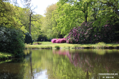 Schlosspark-Lütetsburg-11.5.2019-71
