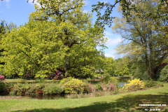 Schlosspark-Lütetsburg-11.5.2019-77
