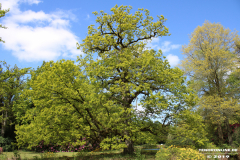 Schlosspark-Lütetsburg-11.5.2019-78