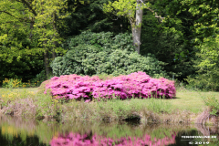 Schlosspark-Lütetsburg-11.5.2019-79