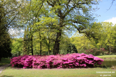 Schlosspark-Lütetsburg-11.5.2019-80