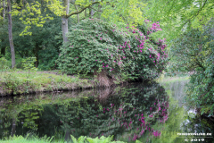 Schlosspark-Lütetsburg-11.5.2019-9