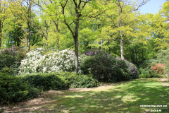 Schlosspark-Lütetsburg-11.5.2019-92