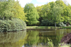 Schlosspark-Lütetsburg-11.5.2019-93