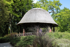 Schlosspark-Lütetsburg-11.5.2019-94