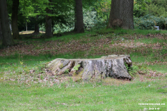 Schlosspark-Lütetsburg-11.5.2019-95