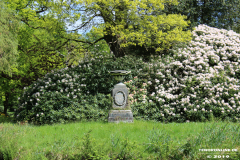 Schlosspark-Lütetsburg-11.5.2019-99