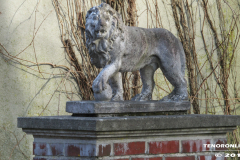 Finettenbörg Anno 1773 Ekel Schulstraße Norden 17.2.2019-4