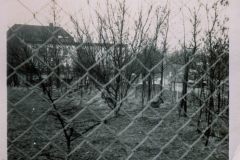 Schwanenteich-Stadt-Norden-1960er-Jahre-Familie-Tenor-12