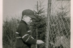 Schwanenteich-Stadt-Norden-1960er-Jahre-Familie-Tenor-4