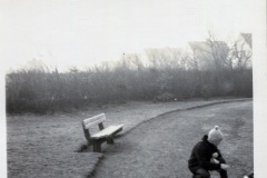 Schwanenteich-Stadt-Norden-1960er-Jahre-Familie-Tenor-5