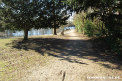 Schwanenteich Norden 15.2.2019-0519